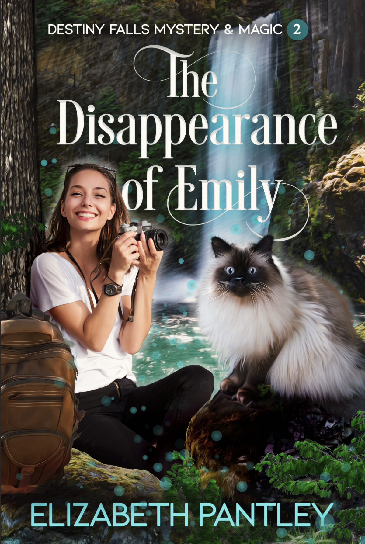 Book Blast: THE DISAPPEARANCE OF EMILY by Elizabeth Pantley