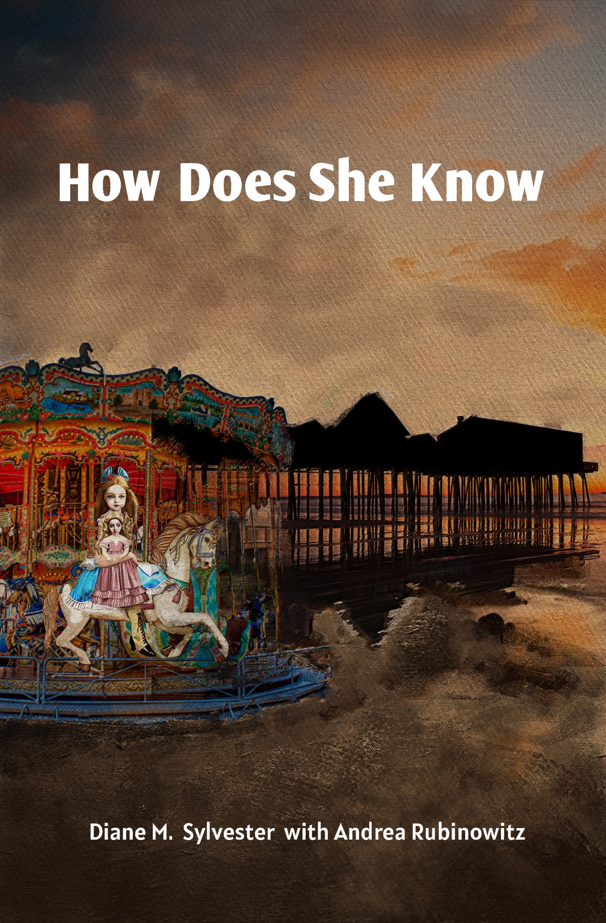 Book Showcase: HOW DOES SHE KNOW by Diane M. Sylvester and Andrea Rubinowitz